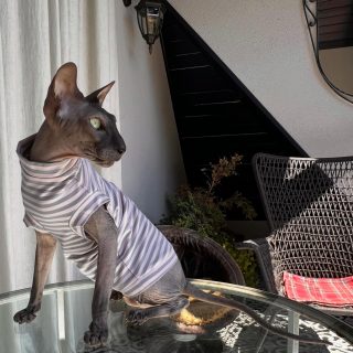 My love Bond, James Bond ❤️❤️❤️ in @kotomodacatwear New pajamas