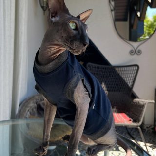 My love Bond, James Bond ❤️❤️❤️ by @kotomodacatwear T-shirt Blue Boss 💙💙💙