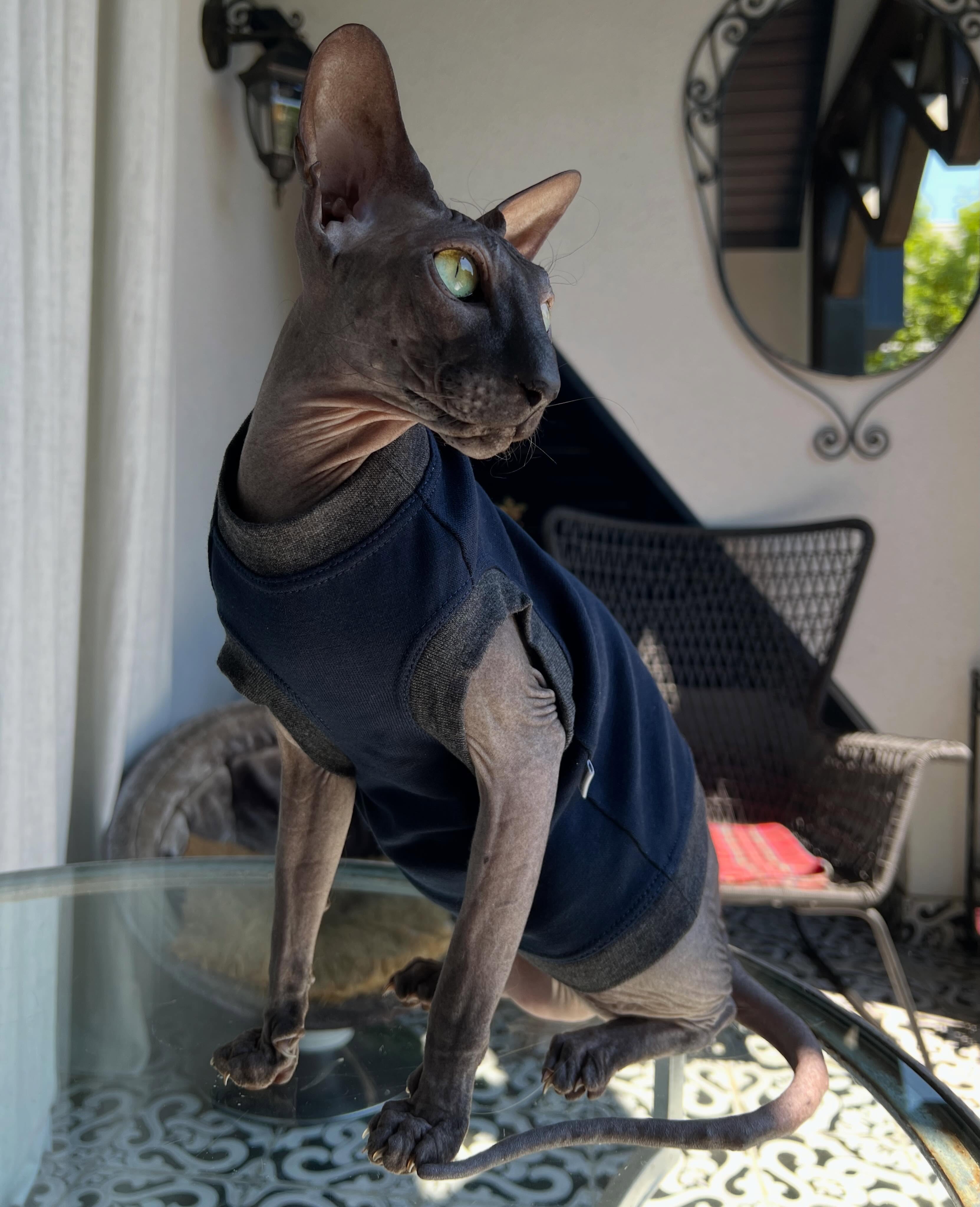 My love Bond, James Bond ❤️❤️❤️ by @kotomodacatwear T-shirt Blue Boss 💙💙💙