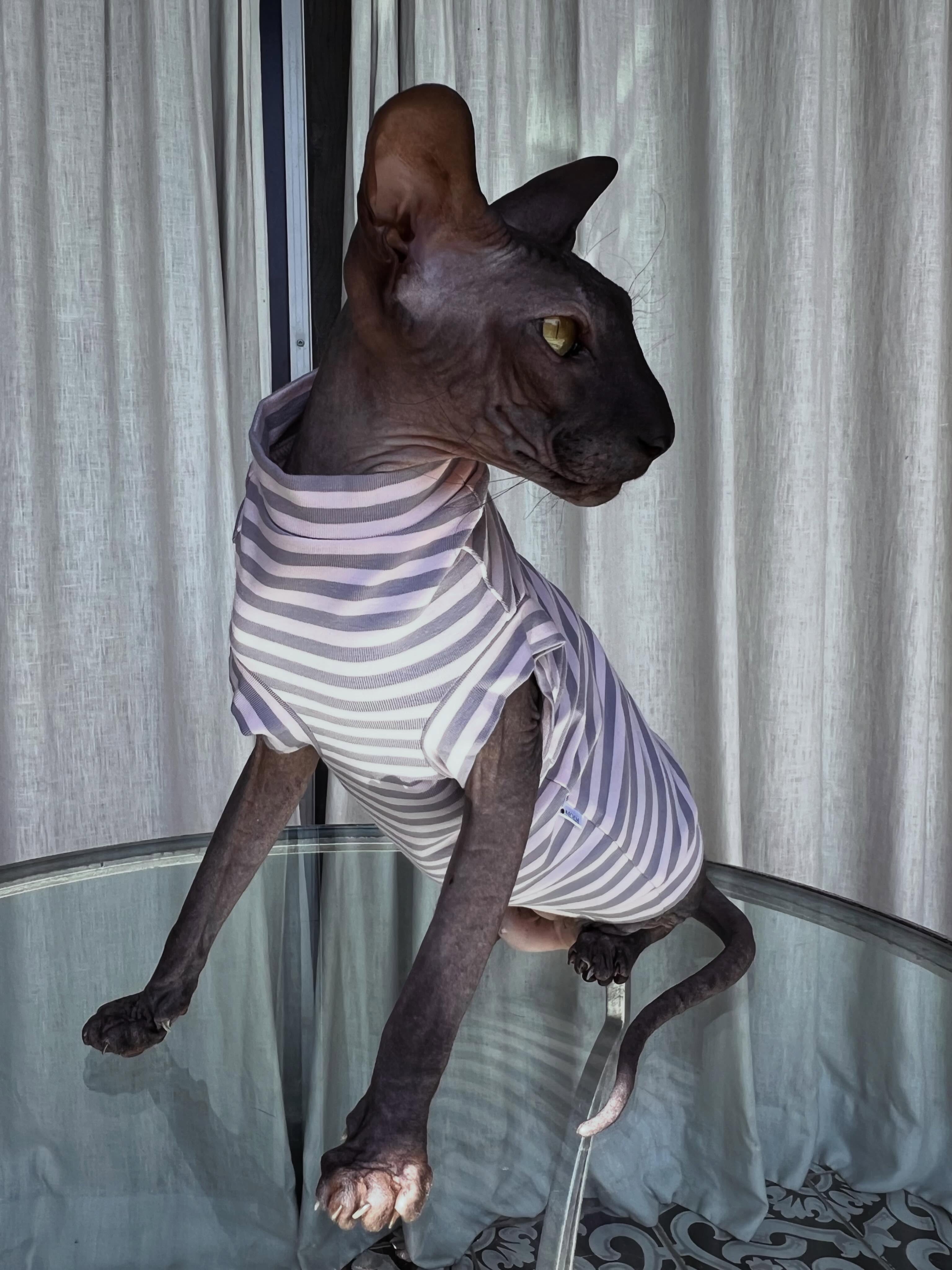 My love Bond, James Bond ❤️❤️❤️ by  @kotomodacatwear 🐈❤️🐈‍⬛ turtleneck New pajamas