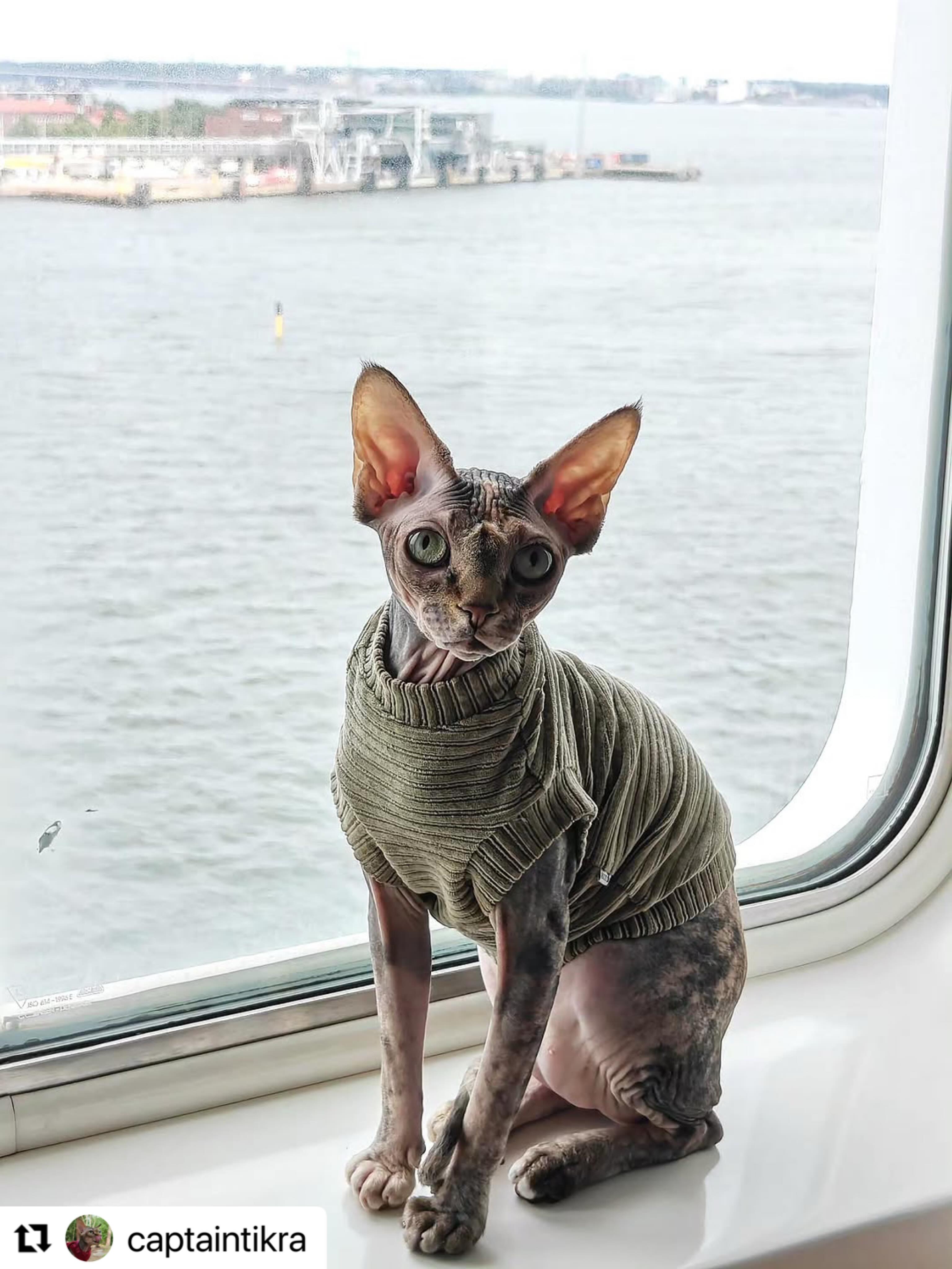 #Repost @captaintikra with @use.repost
・・・
Laivalla ⛴️⚓